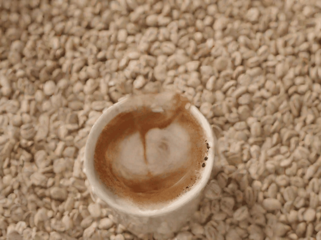 Coffee Pour — Free GIF